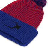 Winter Beanie